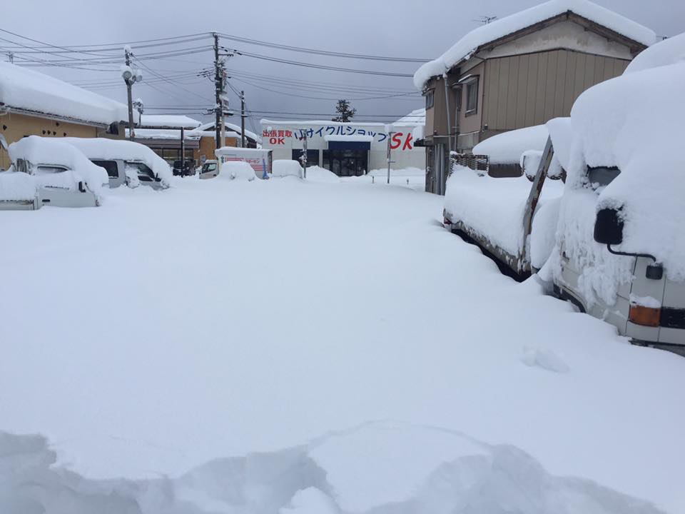 展示場　大雪二日目